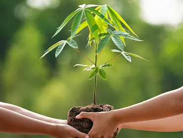 Sustainable Gardening Practices embracing methods blog