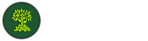 Tree Donate Today