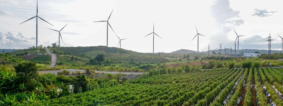 Farmers harvesting energy crops