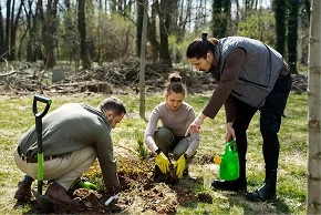 Scientist conducting forest inventory