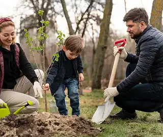 Indian Cork Fig Fruits
